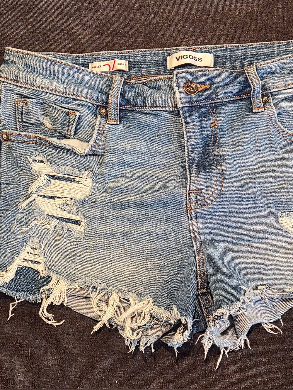 Vigoss Light Blue Marley Shorts